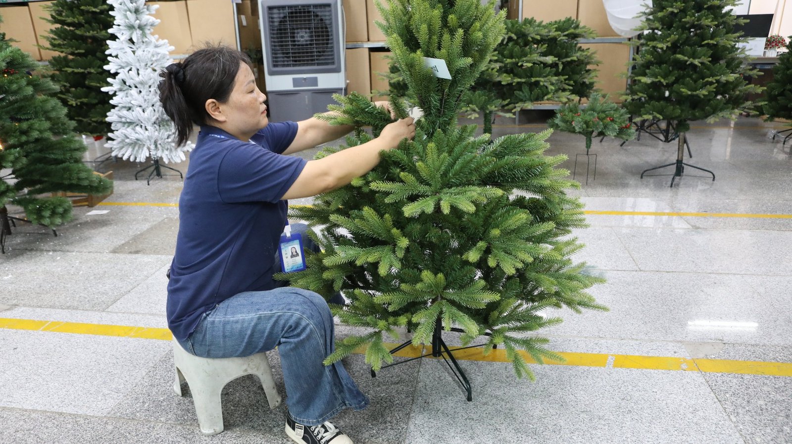 R&D staff adjusting Christmas tree branches
